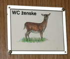 Obrazek